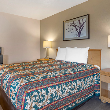 What types of rooms does the hotel offer?